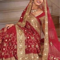 Stylish & Innovative Indian Bridal Saree Designs - Bridal Wear